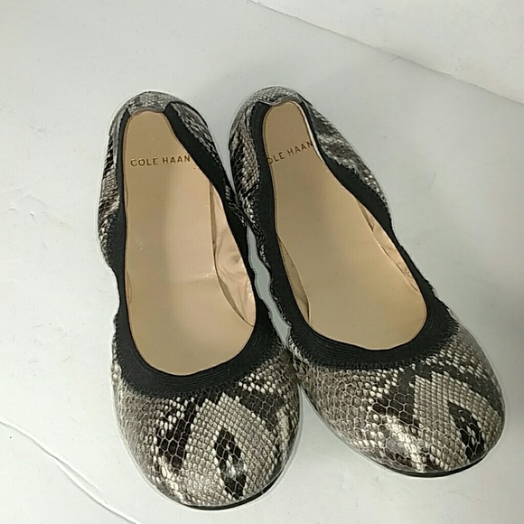 cole haan roccia snake print